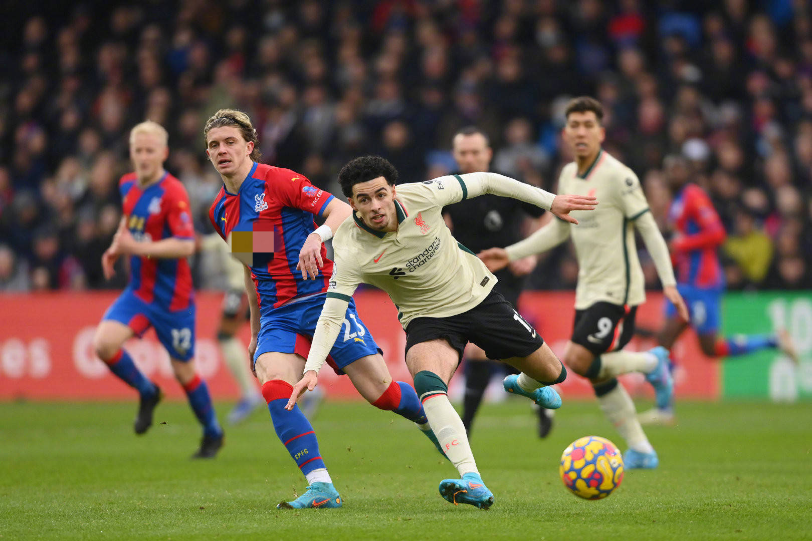 定赛季最终 定赛季最终